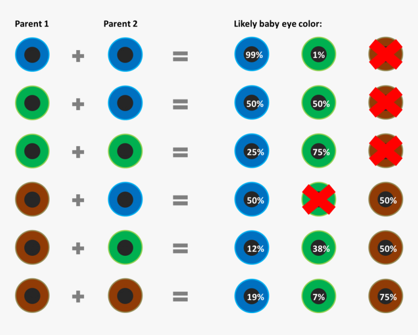 Color Eyes Baby Calculator, HD Png Download, Free Download