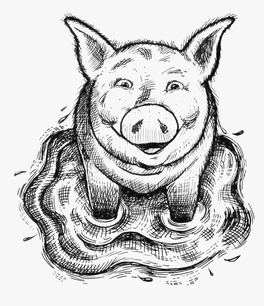 Saxbys Pig In Puddle - Illustration, HD Png Download, Free Download