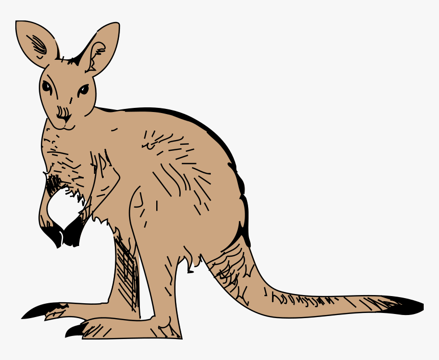 Possum Clipart - Zoo Kangaroo Clip Art, HD Png Download, Free Download