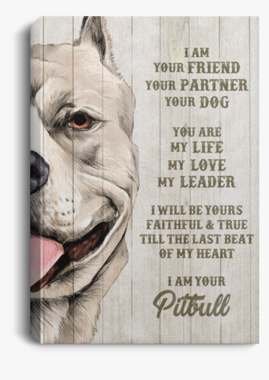 Pit Bull, HD Png Download, Free Download