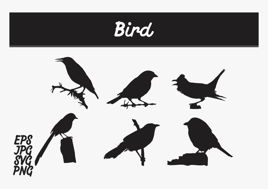 Transparent Bird Vector Png - Svg Vector Brain Svg, Png Download, Free Download