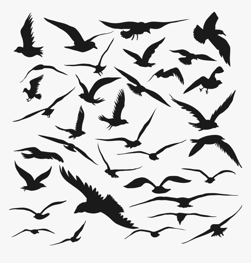 Bird Silhouette Drawing Vector Graphics - Vector Flying Bird Silhouette Free, HD Png Download, Free Download