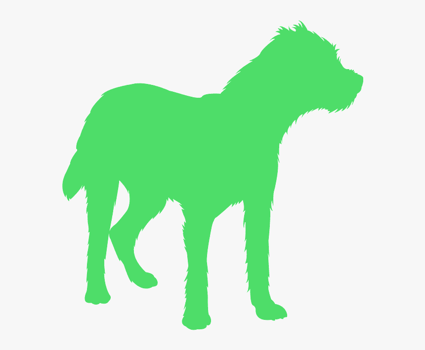 Border Terrier Silhouette Png, Transparent Png, Free Download