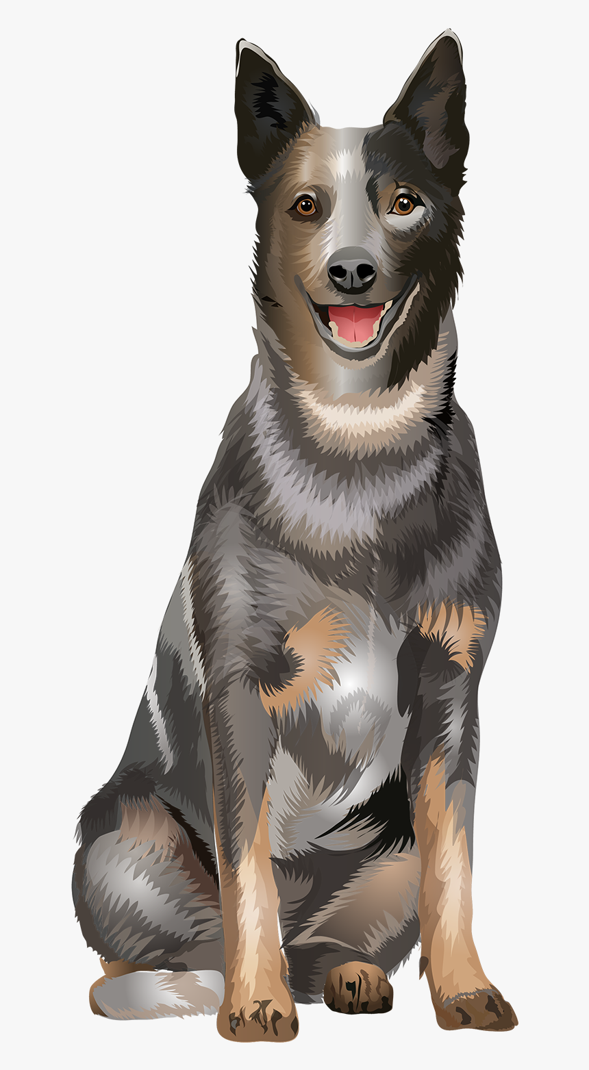 Dogs Vector Canine - Australian Cattle Dog Vector, HD Png Download, Free Download