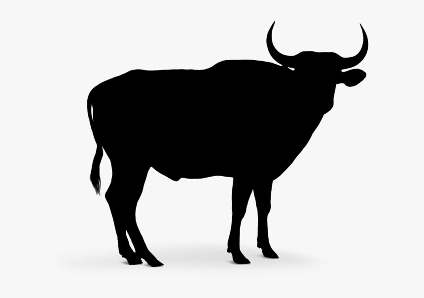 Cattle Vector Graphics Clip Art Silhouette Royalty-free - Black Bull Silhouette, HD Png Download, Free Download