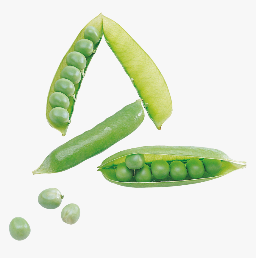 Now You Can Download Pea Png Picture, Transparent Png, Free Download