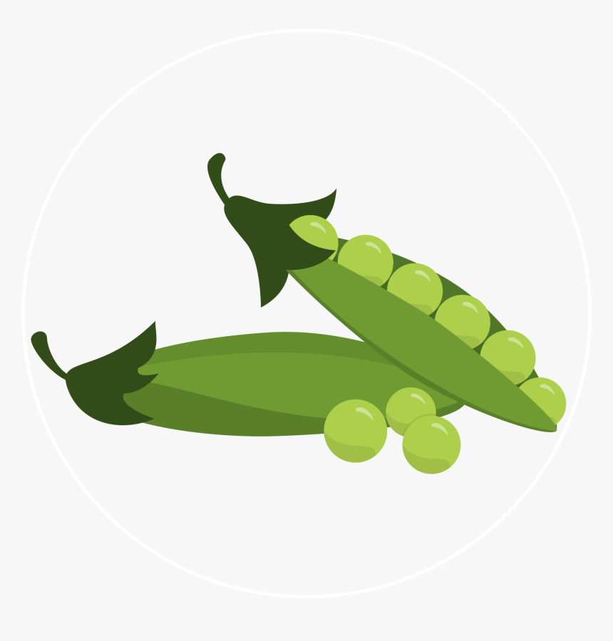 Pea-icon - Illustration, HD Png Download, Free Download