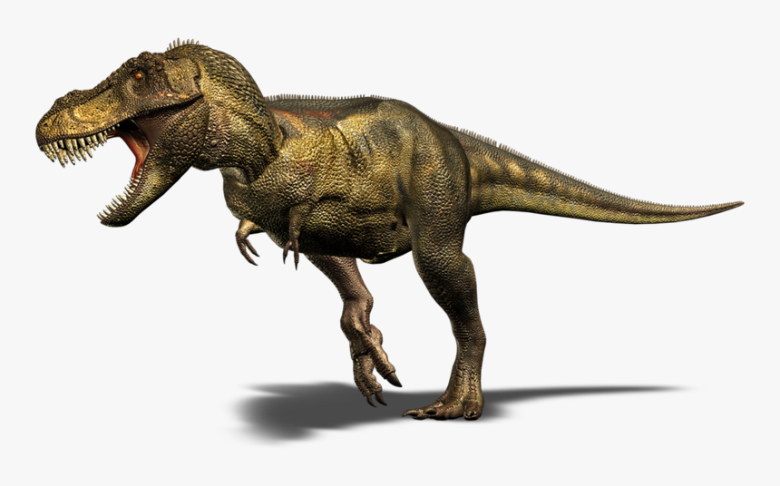 Tyrannosaurus Rex - Dinosaur Png, Transparent Png, Free Download