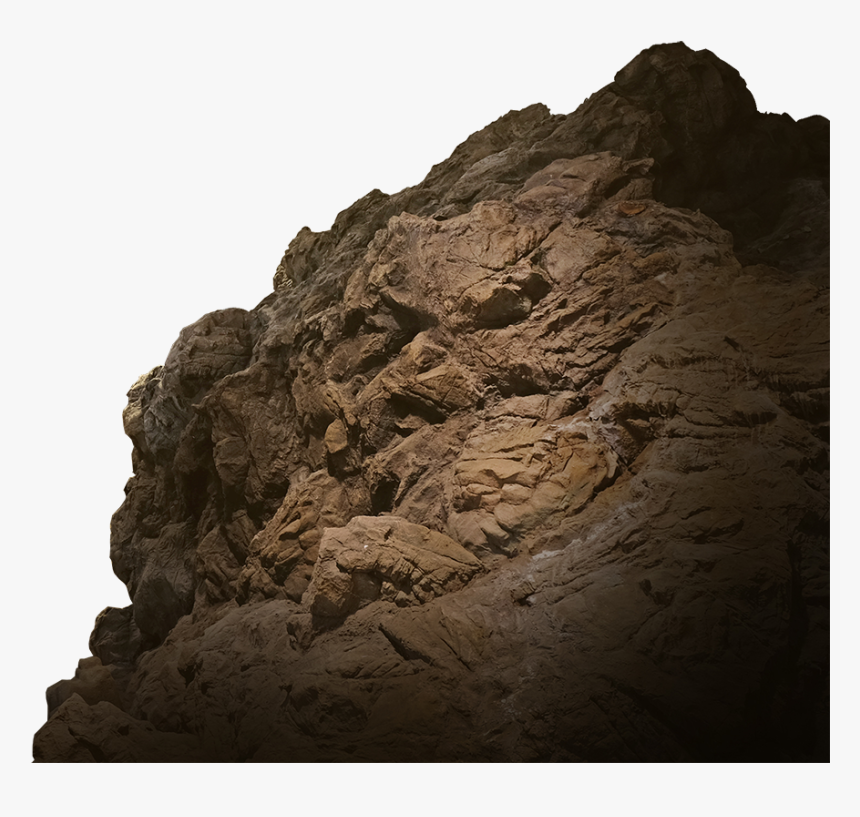 Transparent Tyrannosaurus Rex Png - T Rex Face Side View, Png Download, Free Download
