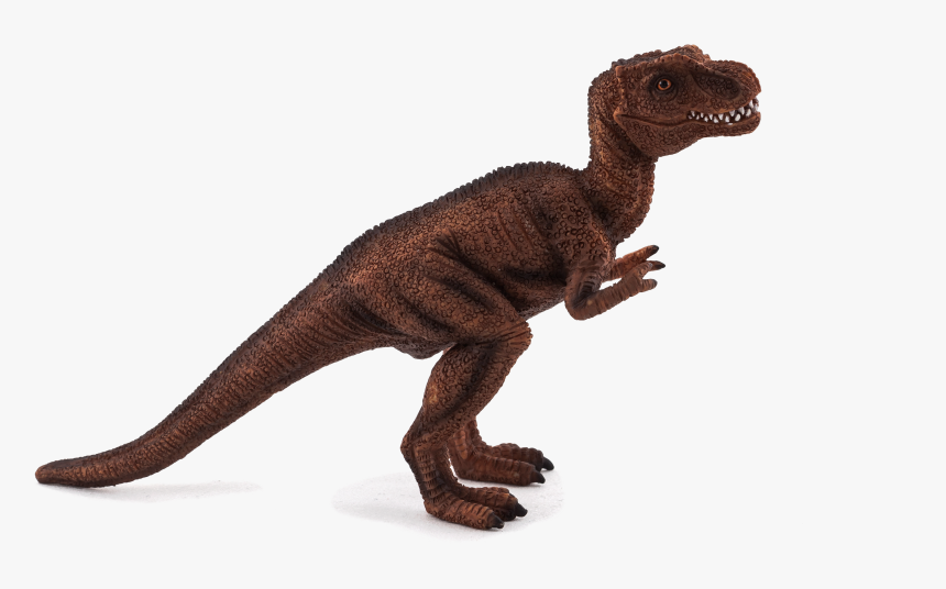 Baby T Rex Png, Transparent Png, Free Download