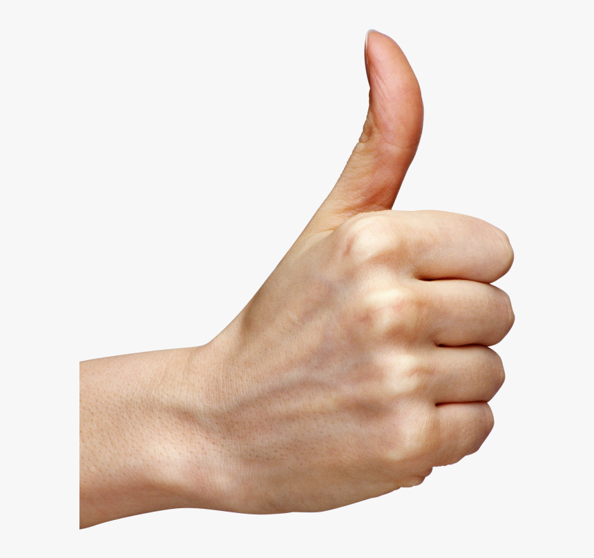 Free Clipart Hands Hand Thumbs Up Png Transparent Png Kindpng