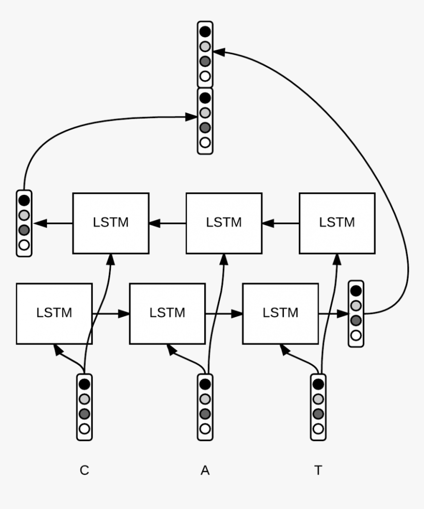 Character Embeddings - Bi Lstm, HD Png Download, Free Download