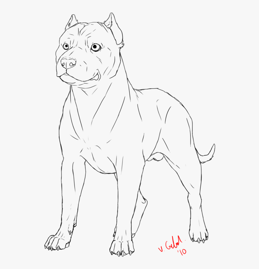 Pit Bull Lineart By Prinzeburnzo - Line Art, HD Png Download, Free Download