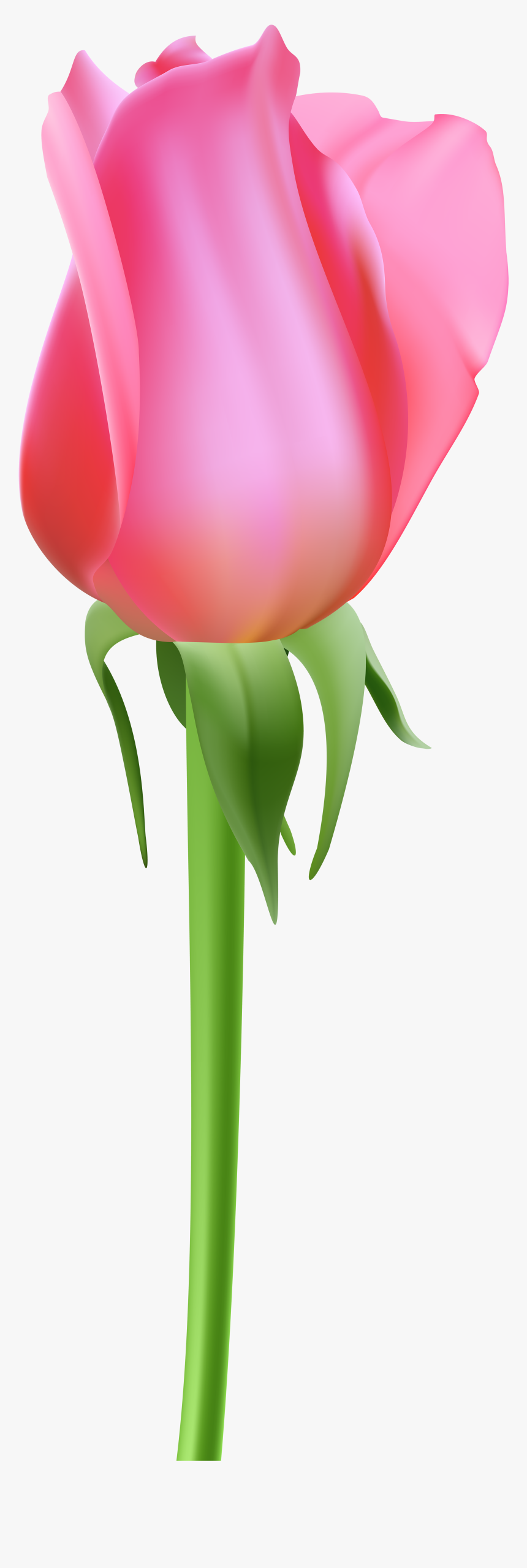Rose Bud Pink Transparent Clip Art - Portable Network Graphics, HD Png Download, Free Download