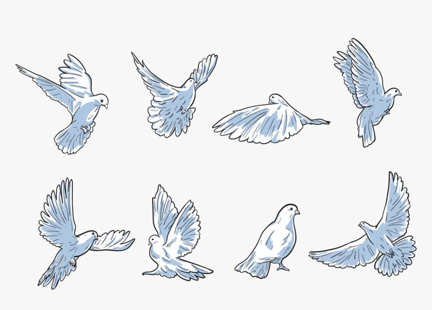 Palomas Volando Dibujo, HD Png Download, Free Download