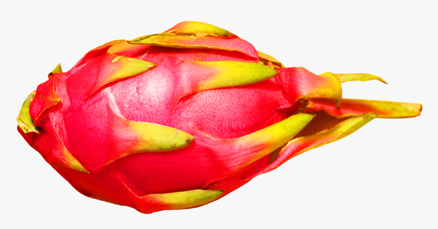 Dragon Fruit - Pitaya, HD Png Download, Free Download