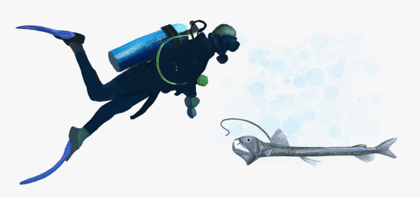 Dsd-diver - Underwater Diving, HD Png Download, Free Download