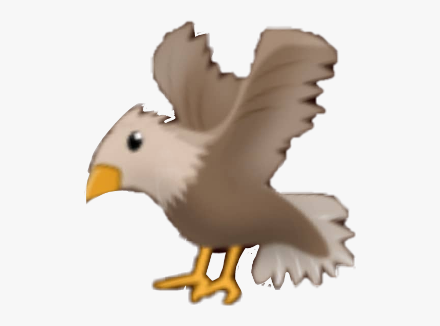 #eagle #bird #sticker - Bald Eagle, HD Png Download, Free Download