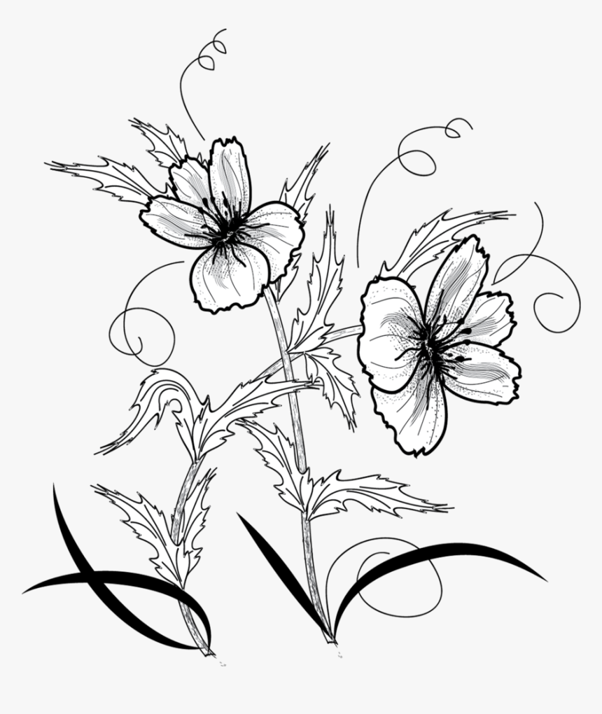 Flower Png By Roula33-d5961sy - زخرفة الورود, Transparent Png, Free Download