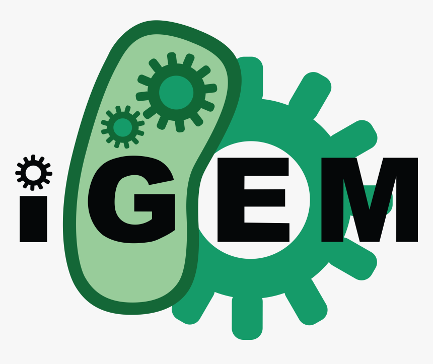 International Genetically Engineered Machine, HD Png Download, Free Download