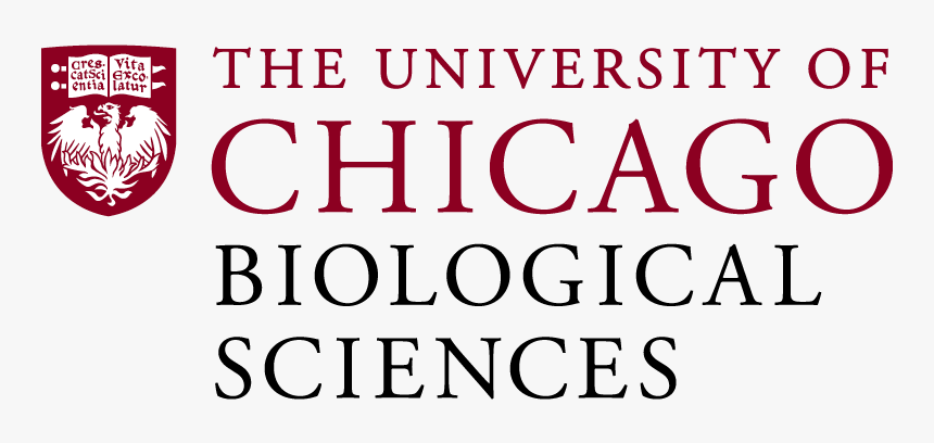 University Of Chicago Png - University Of Chicago, Transparent Png, Free Download