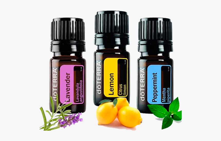 Kit Apresentação - Doterra Oils, HD Png Download, Free Download