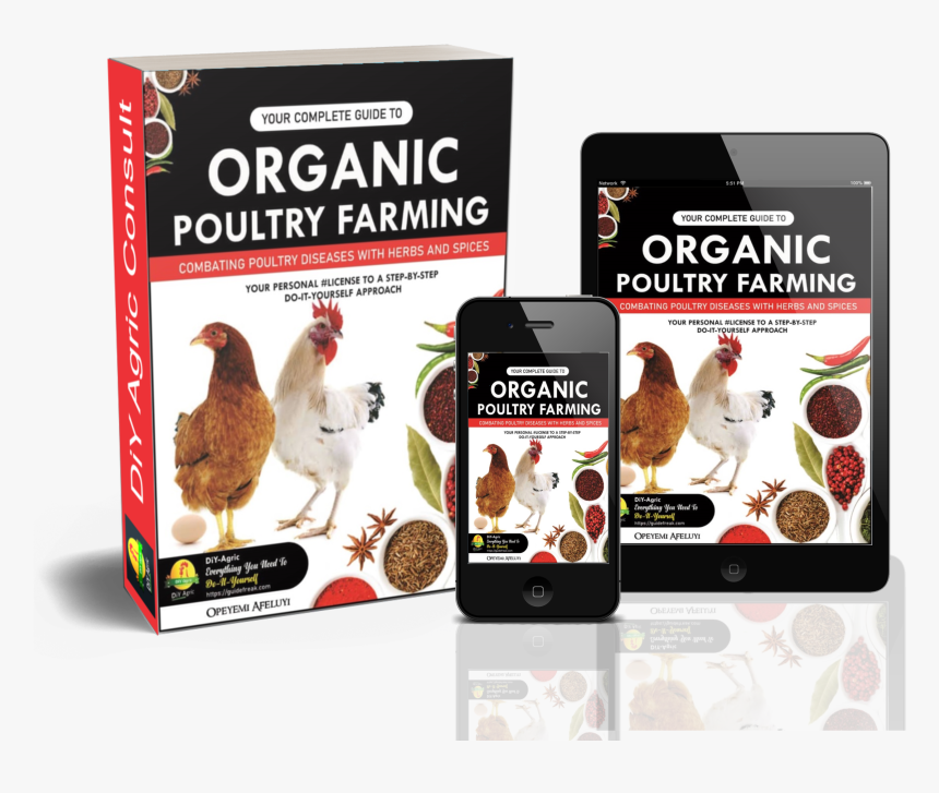 Organic Poultry Farming - Turkey, HD Png Download, Free Download