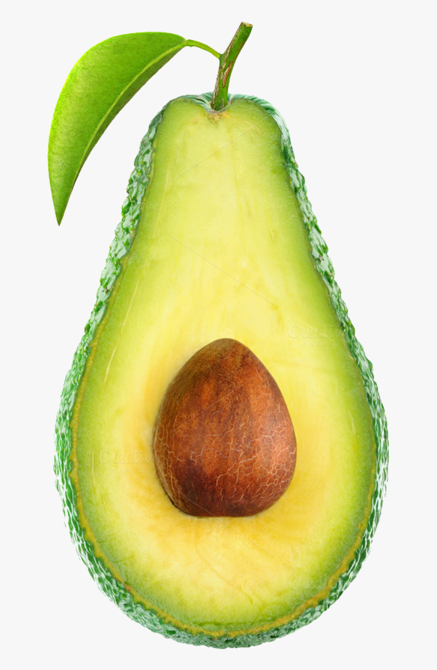 Avocado Png Image - Avocado Png, Transparent Png, Free Download