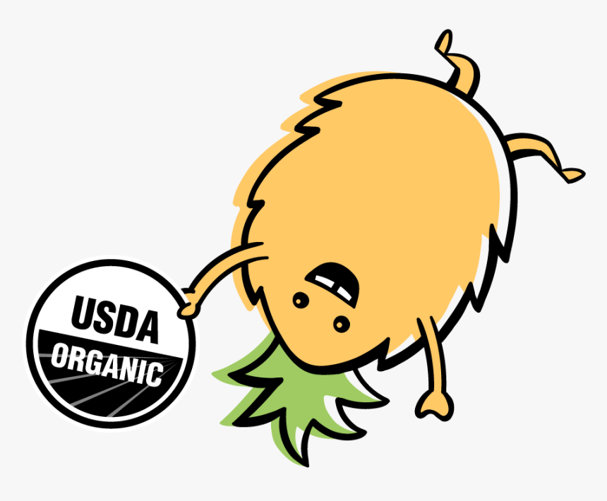 Organic - Usda Organic, HD Png Download, Free Download