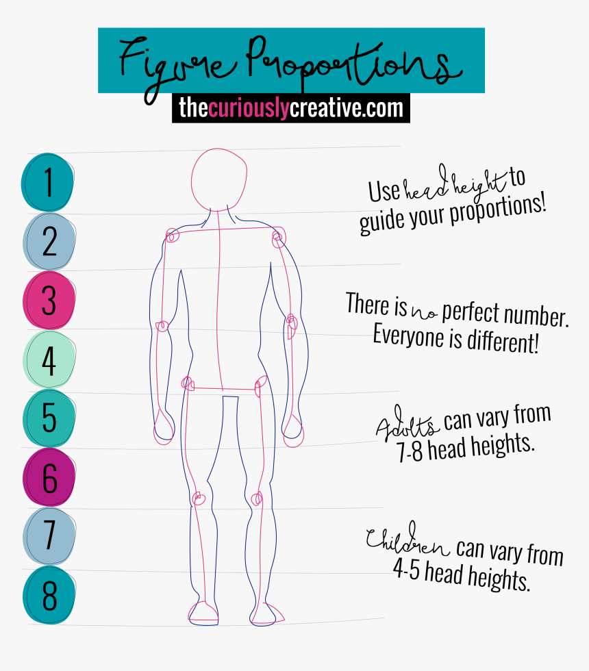 Figure Proportion Drawings 7 Heads Height Drawing, HD Png Download