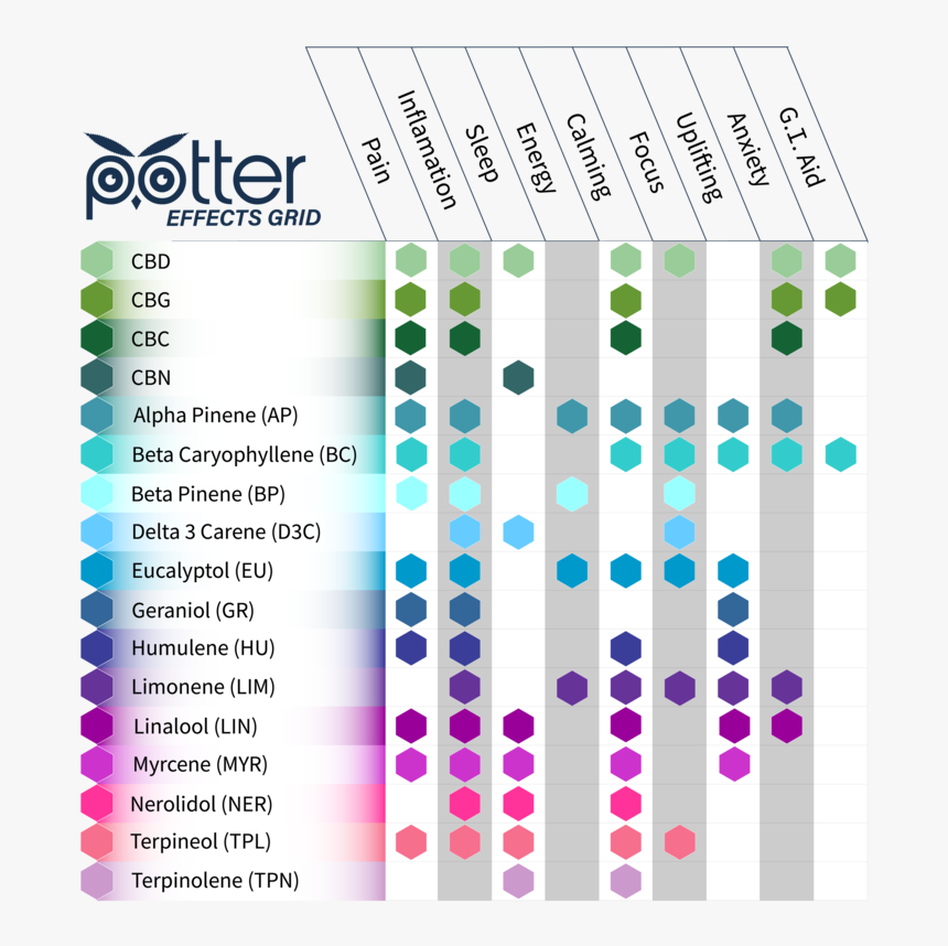 Potter Effects Grid New 2 - Parallel, HD Png Download, Free Download