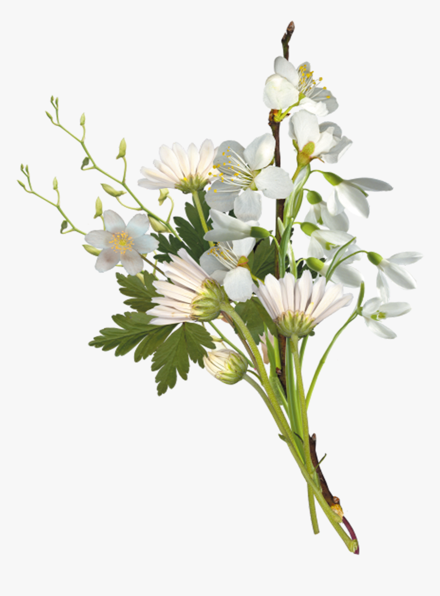 Black And White Flower Bouquet Clipart Graphic Free - Bouquet Of Flowers Png, Transparent Png, Free Download