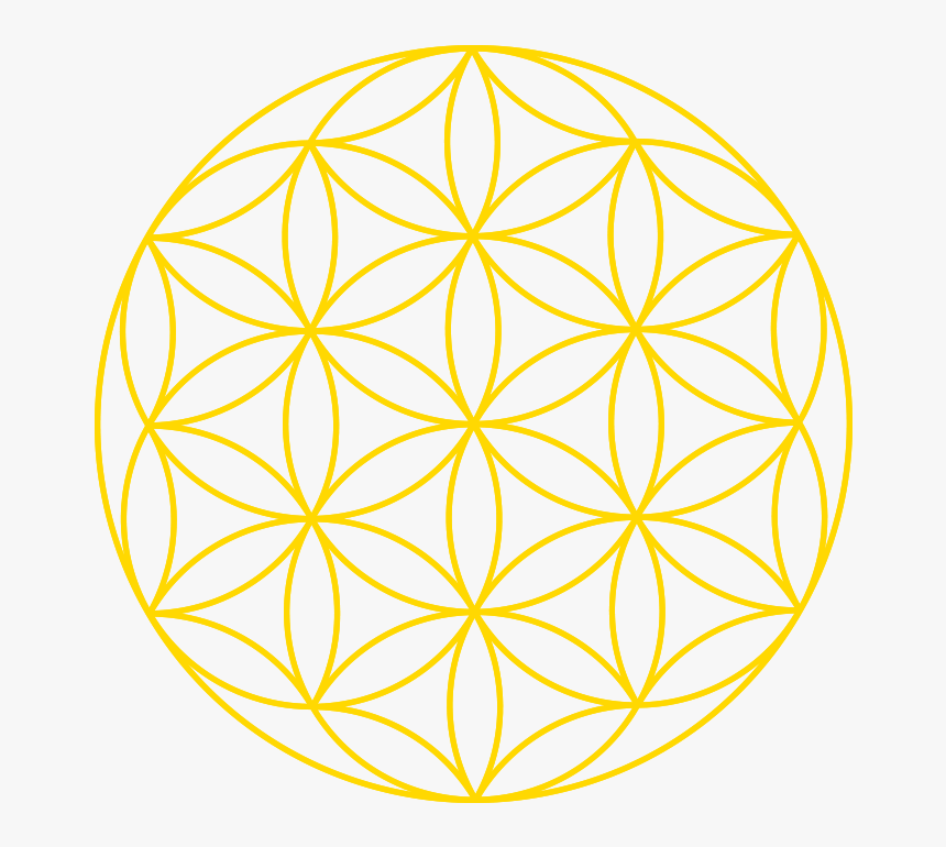 Beautiful Yellow - Flower Of Life Png, Transparent Png, Free Download