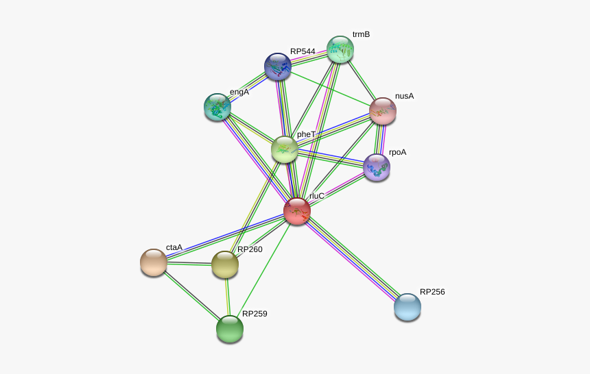 Rluc Protein - Circle, HD Png Download, Free Download