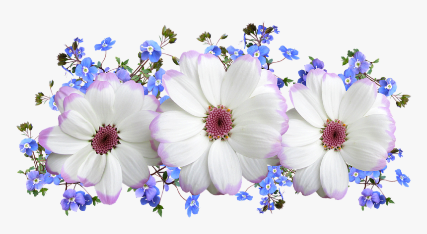 Flower, HD Png Download, Free Download