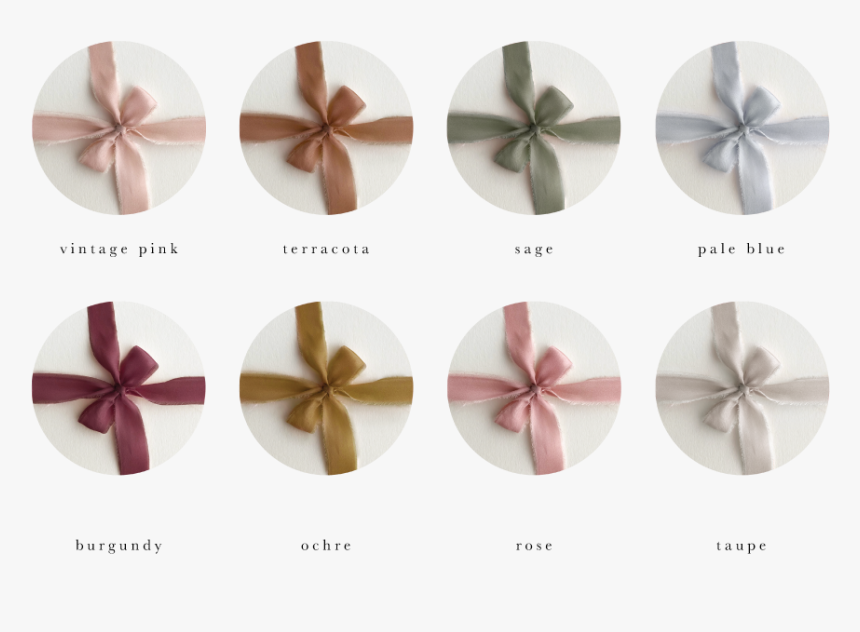 Wedding Invitations Ribbon Colors - Sand Dollar, HD Png Download, Free Download