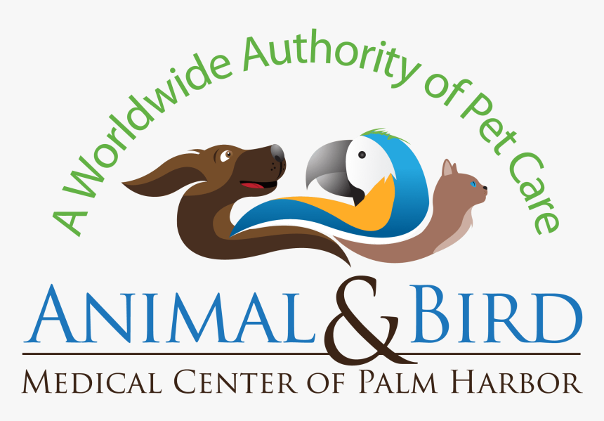 Animal And Bird Medical Center - Graphic Design, HD Png Download, Free Download