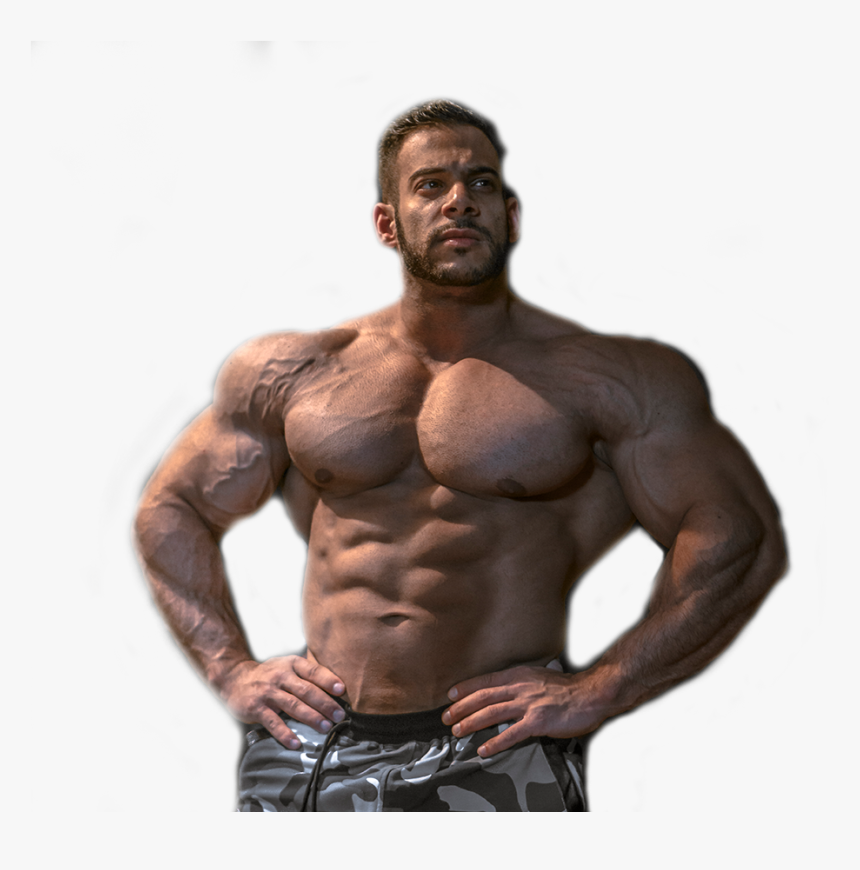 Bodybuilding , Png Download - Bodybuilding, Transparent Png, Free Download