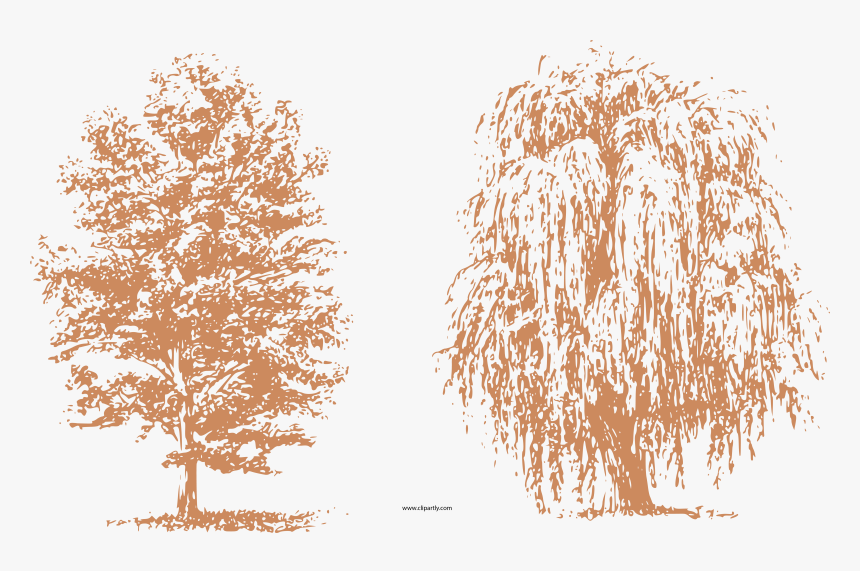 Draw Trees Clipart Png - Ink Tree Drawing Simple, Transparent Png, Free Download