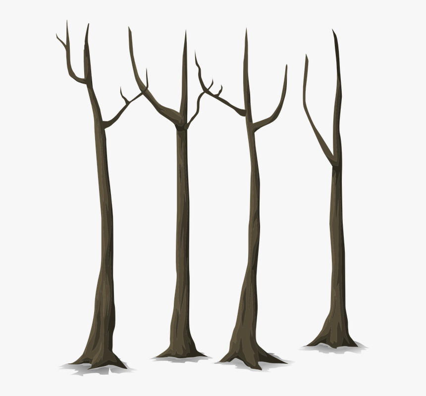 Forest Trees Art Png, Transparent Png, Free Download