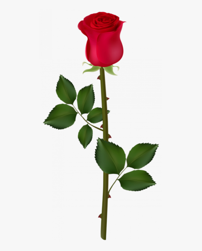 Rose Flower With Thorns, HD Png Download, Free Download