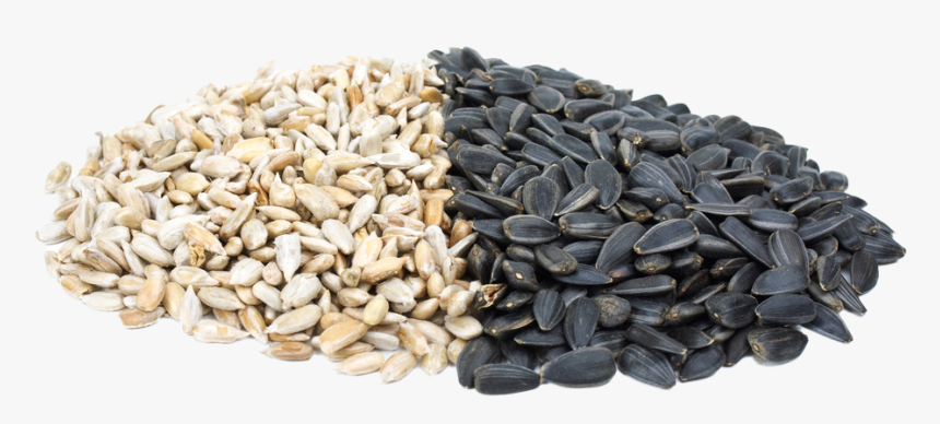 Seeds Png, Transparent Png, Free Download