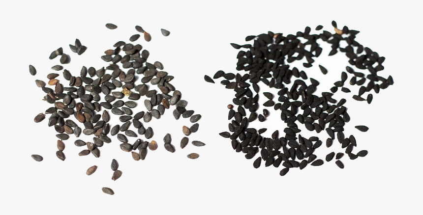 Seeds - Nigella Seeds Vs Black Sesame, HD Png Download, Free Download