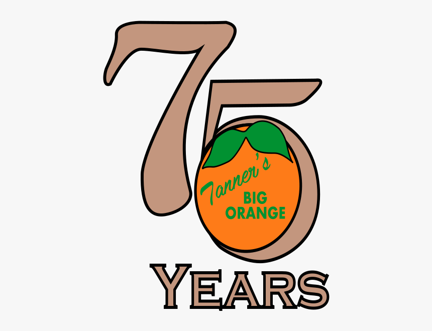 Picture, HD Png Download, Free Download