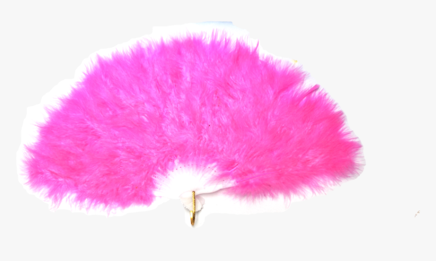 Dsc02794, HD Png Download, Free Download