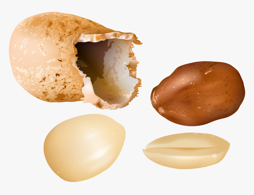 Peanut Png, Transparent Png, Free Download