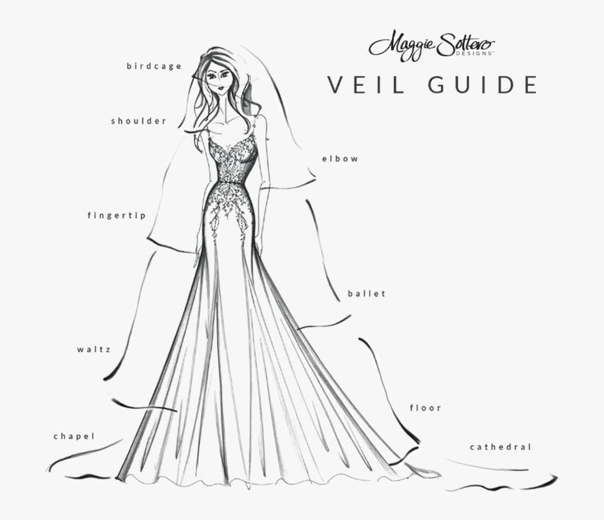 Wedding Veil Types, HD Png Download, Free Download