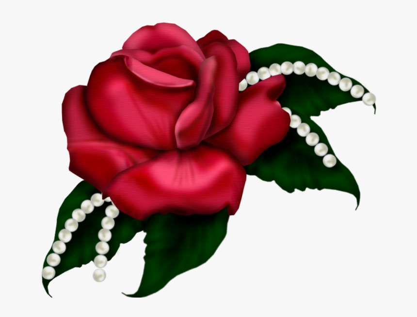 Skrot S T Rose - Dil Photo Frame Png Hd, Transparent Png, Free Download