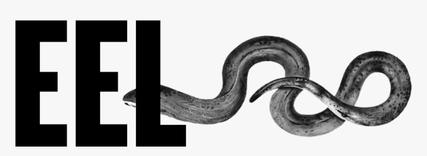 Eel Logo Large - Smooth Earth Snake, HD Png Download, Free Download