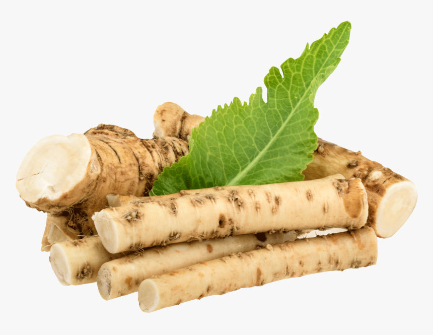 Horseradish Transparent, HD Png Download, Free Download